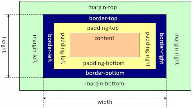 box model